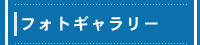 tHgM[